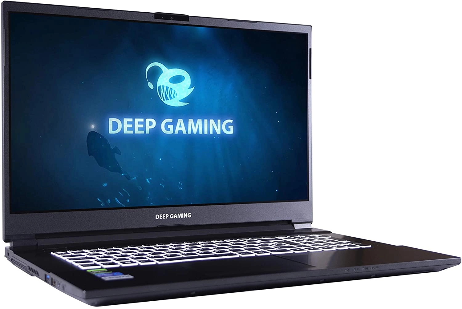 DeepGaming Exegon laptop image