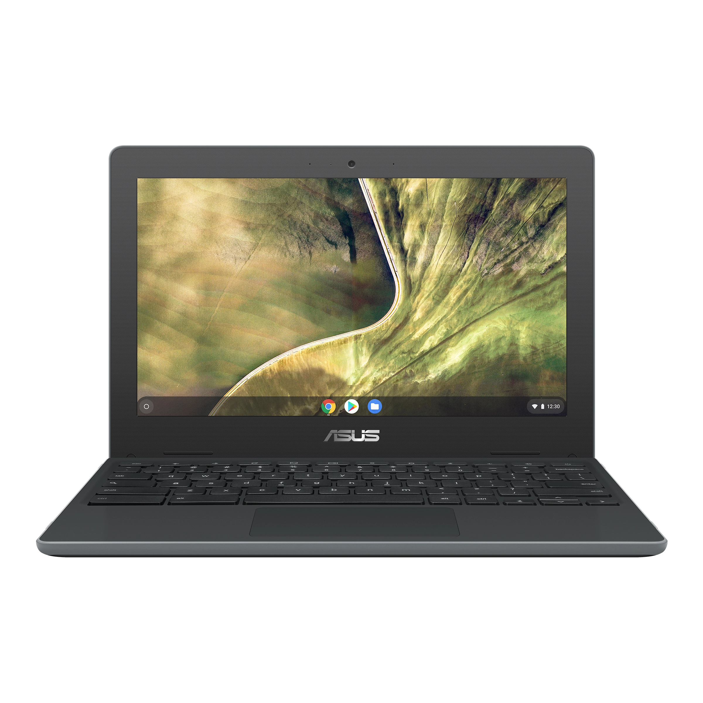 Asus Chromebook C204 laptop image