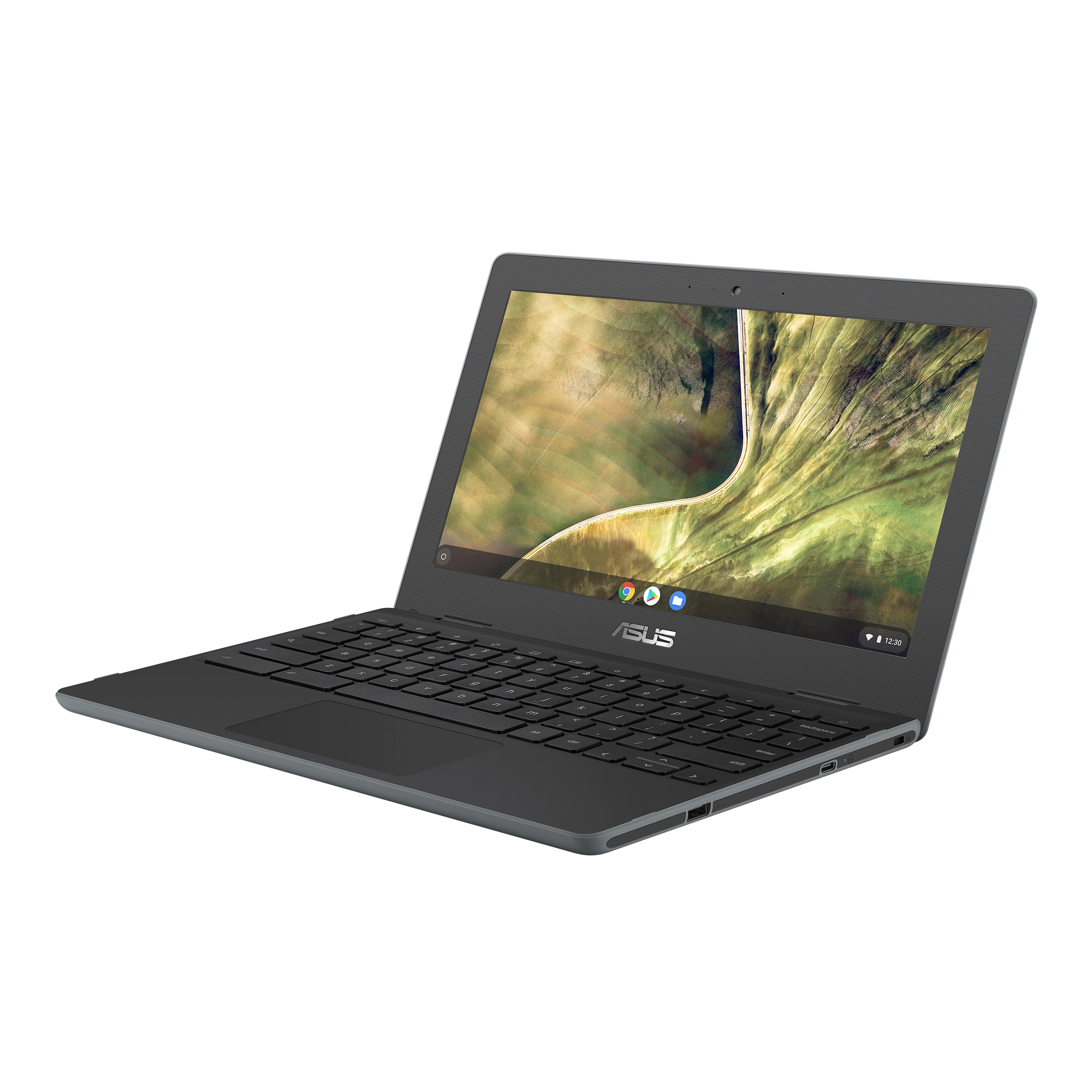 Asus Chromebook C204 laptop image