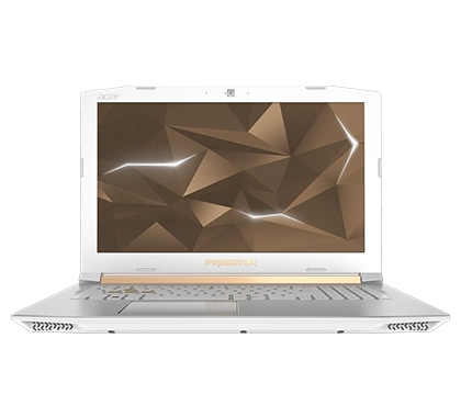 Acer Predator Helios 300 Special Edition PH315-51-757A laptop image