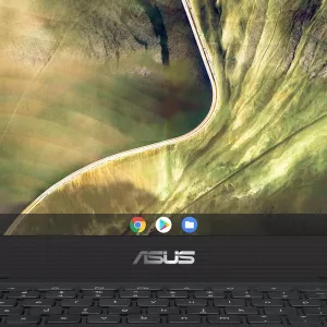 Asus Chromebook C204 laptop main image